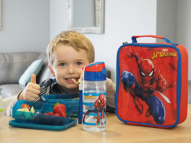 SpiderMan LuchBag
